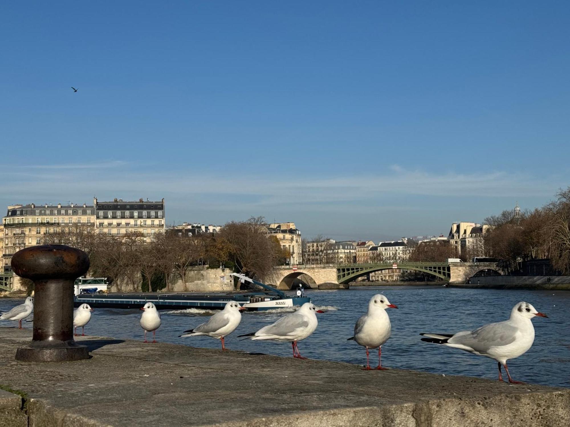 New Private Apartment Paris City Center - Les Arenes Pantheon Notre-Dame Jussieu Jardin Des Plantes Quai De Seine Exteriér fotografie